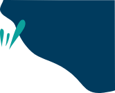 GPS Turismo